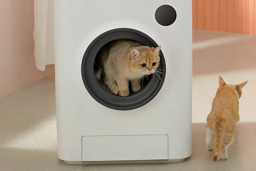 scoopfree self cleaning litter box