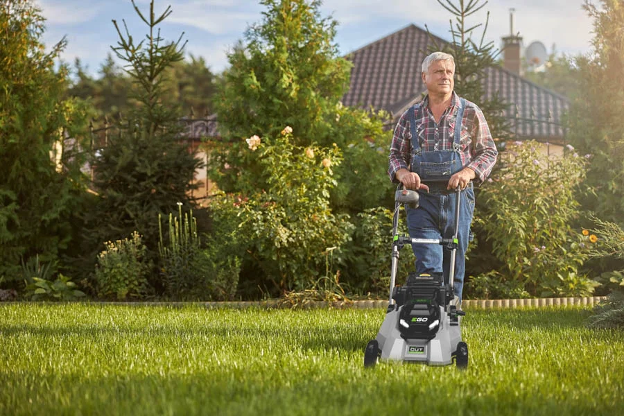 the lawn mower